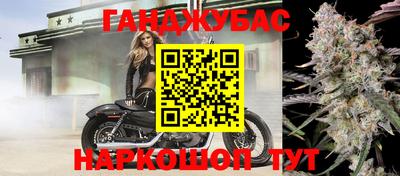 прущие грибы Северобайкальск