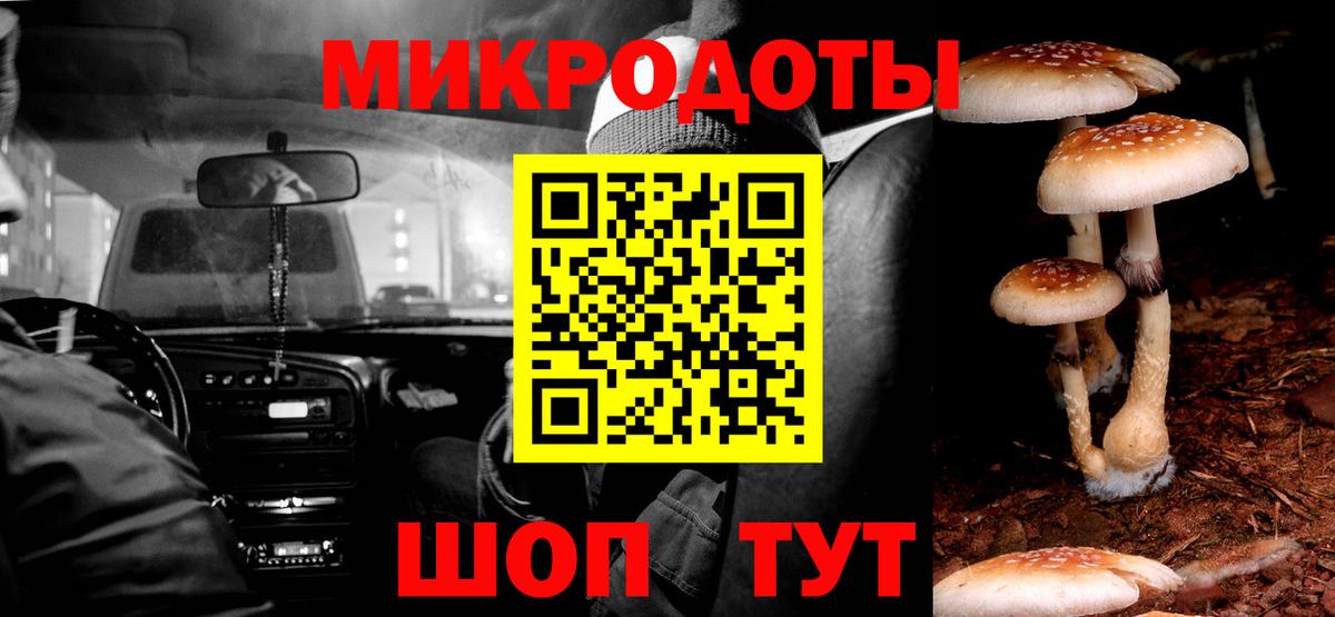 Галлюциногенные грибы MAGIC MUSHROOMS  Вход с VPN  Москва 