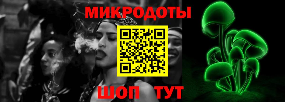 Псилоцибиновые грибы мухоморы Москва